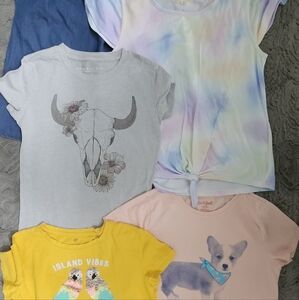 5 piece t-shirt lot Girls Size 10-12 L
